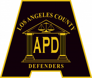Internship - Alternate Public Defender Website